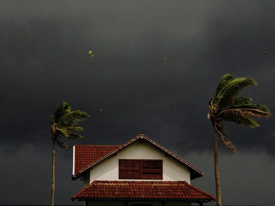 Maison créole aux volets fermés sous un ciel d'avant-cyclone, palmiers pliés par le vent